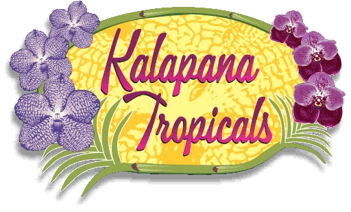 Kalapana Tropicals promo codes 