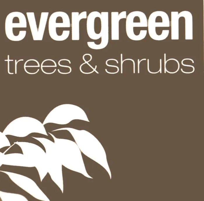 evergreendirect.co.uk