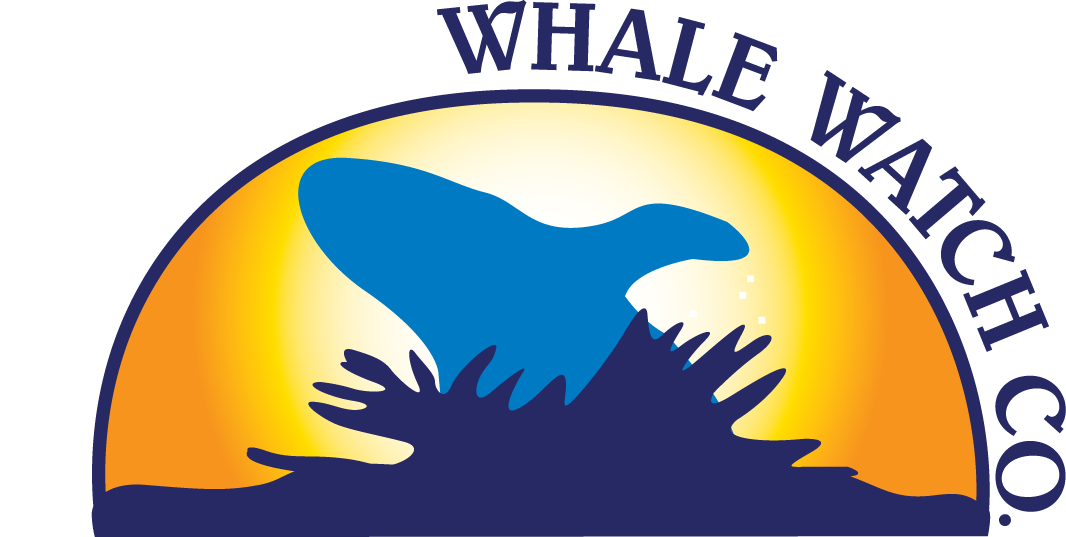 Barharborwhales promo codes 