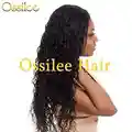 ossileehair.com