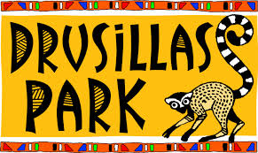 Drusillas Park promo codes 