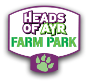 Heads Of Ayr Farm Park promo codes 