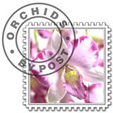 Orchids By Post promo codes 