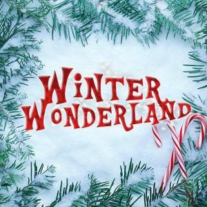 Winter Wonderland Manchester promo codes 